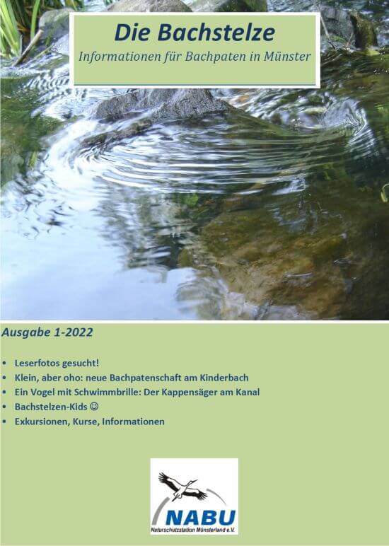 Neuigkeiten rund um Münsters Nass