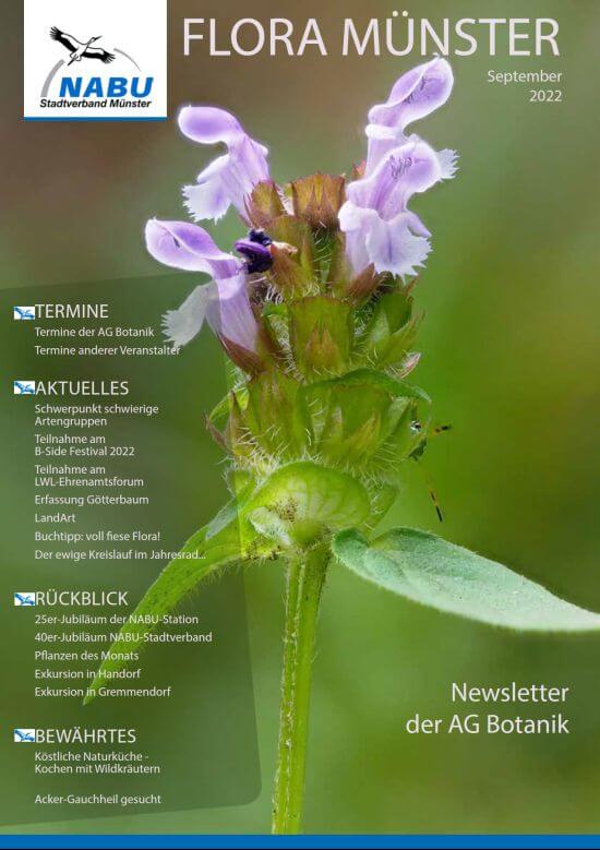 Ausgabe September des Newsletters “Flora Münster”