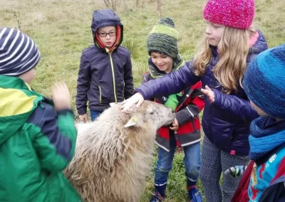 Bei dem Programm Tolle Wolle hatten die Kinder die Chance, ein Schaf zu streicheln