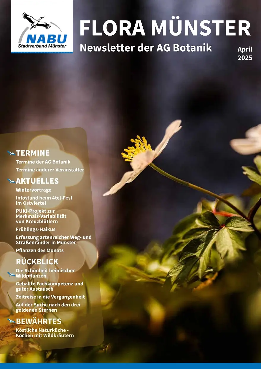 Ausgabe April 2025 des Newsletters „Flora Münster“