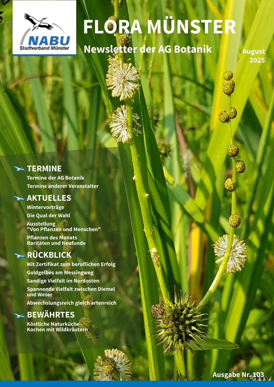 Newsletter Botanik AG August 2025