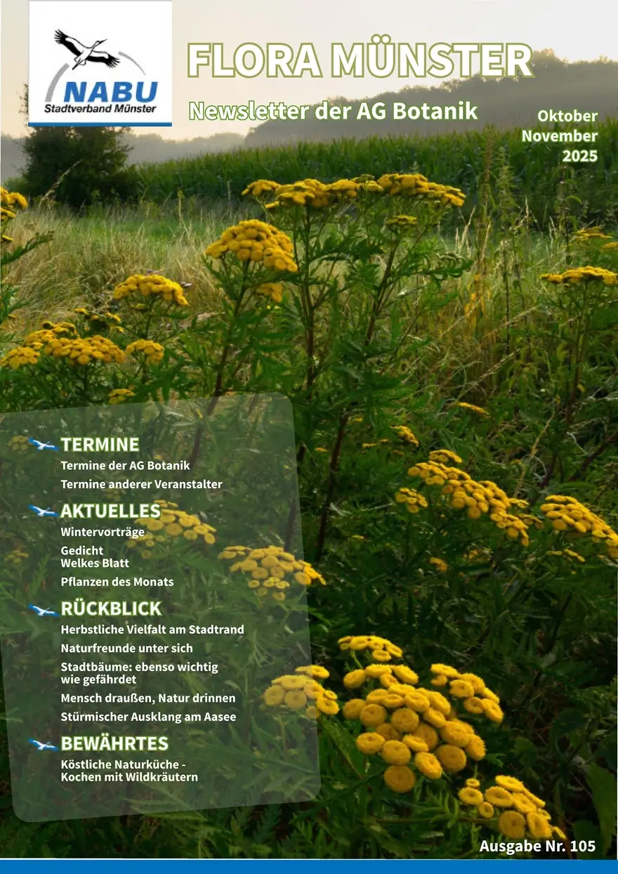 Neue Ausgabe von „Flora Münster“ erschienen – Oktober & November 2025