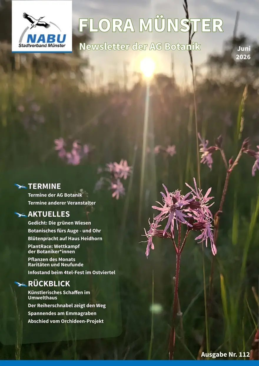 Neue Ausgabe von „Flora Münster“ erschienen – Juni 2026