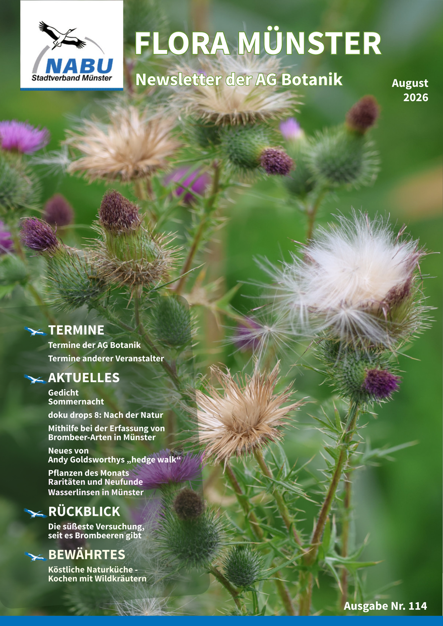 Neue Ausgabe von „Flora Münster“ erschienen – August 2026
