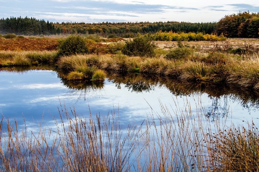 Venner Moor (Foto: Herbert Aust/Pixabay)