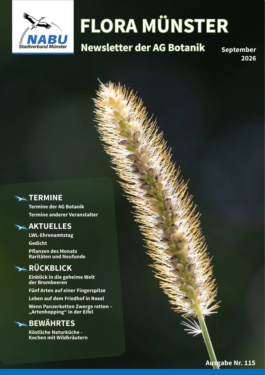 Neue Ausgabe von „Flora Münster“ erschienen – September 2026